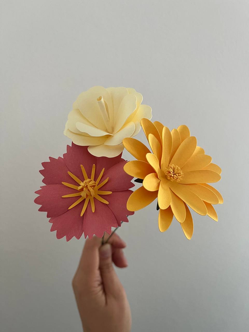 Immergiti nei fiori di carta