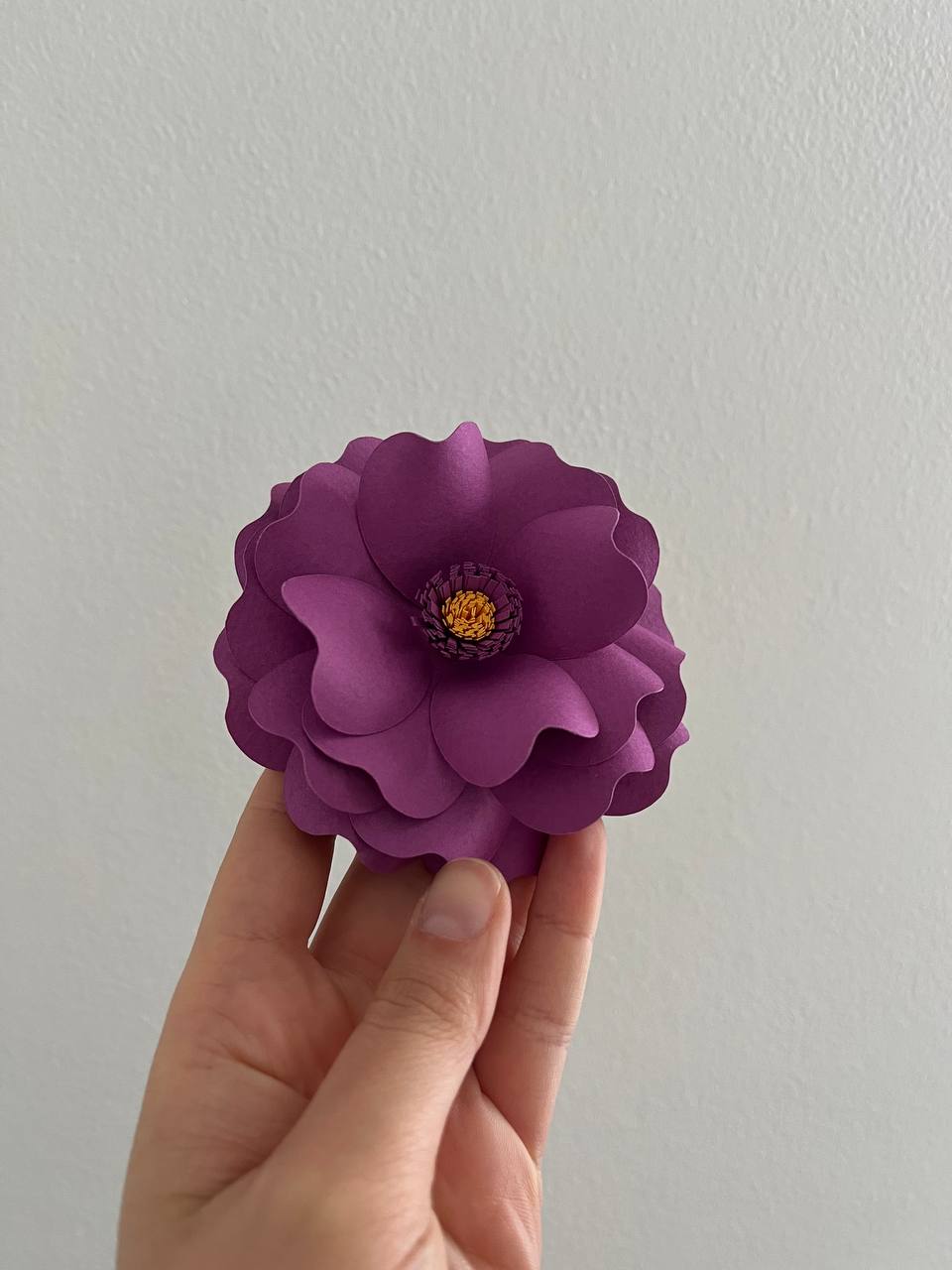 Stessa forma, doppio fiore