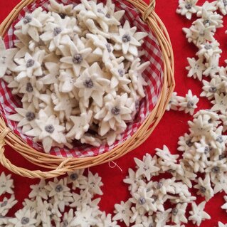 Stelle alpine in feltro